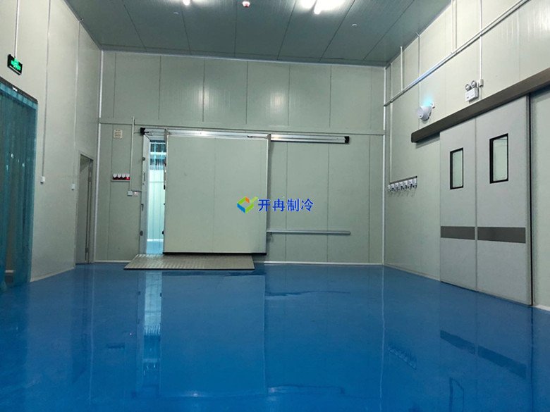 化學(xué)品工廠建造200㎡防爆冷庫設(shè)備價(jià)格多少錢 冷庫圖片